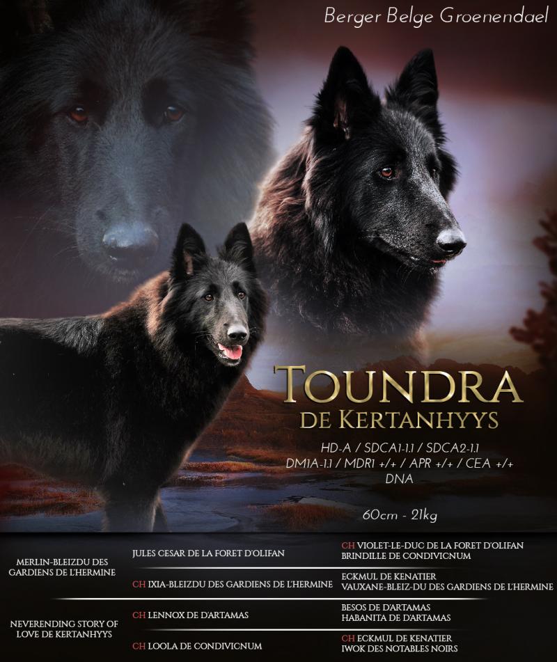 TOUNDRA DE KERTANHYYS