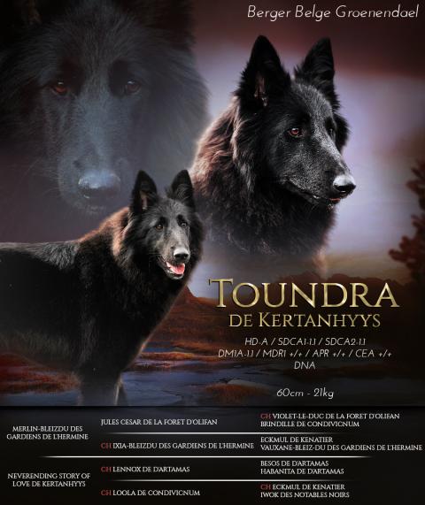 TOUNDRA DE KERTANHYYS