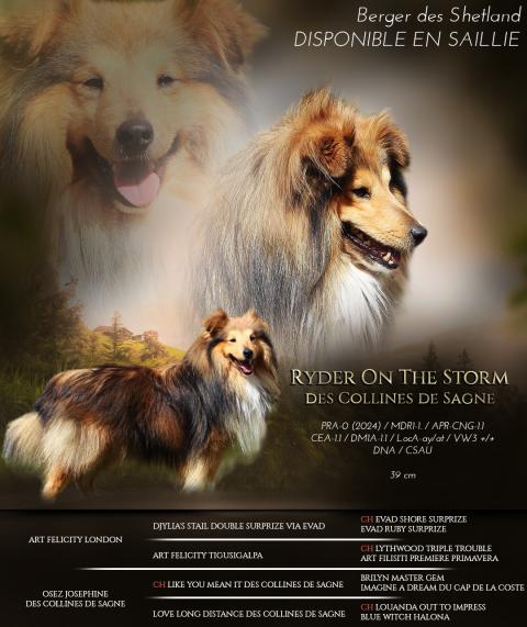 RYDER ON THE STORM DES COLLINES DE SAGNE