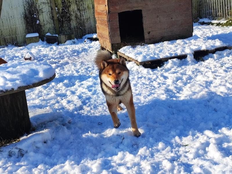 TEQUILA DES PORTES DE LA MORIA