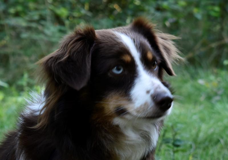 SNOW DU MOULIN DE LA TERRASSE