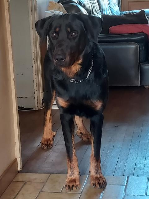 USCO DE LA P'TIOTE REINE