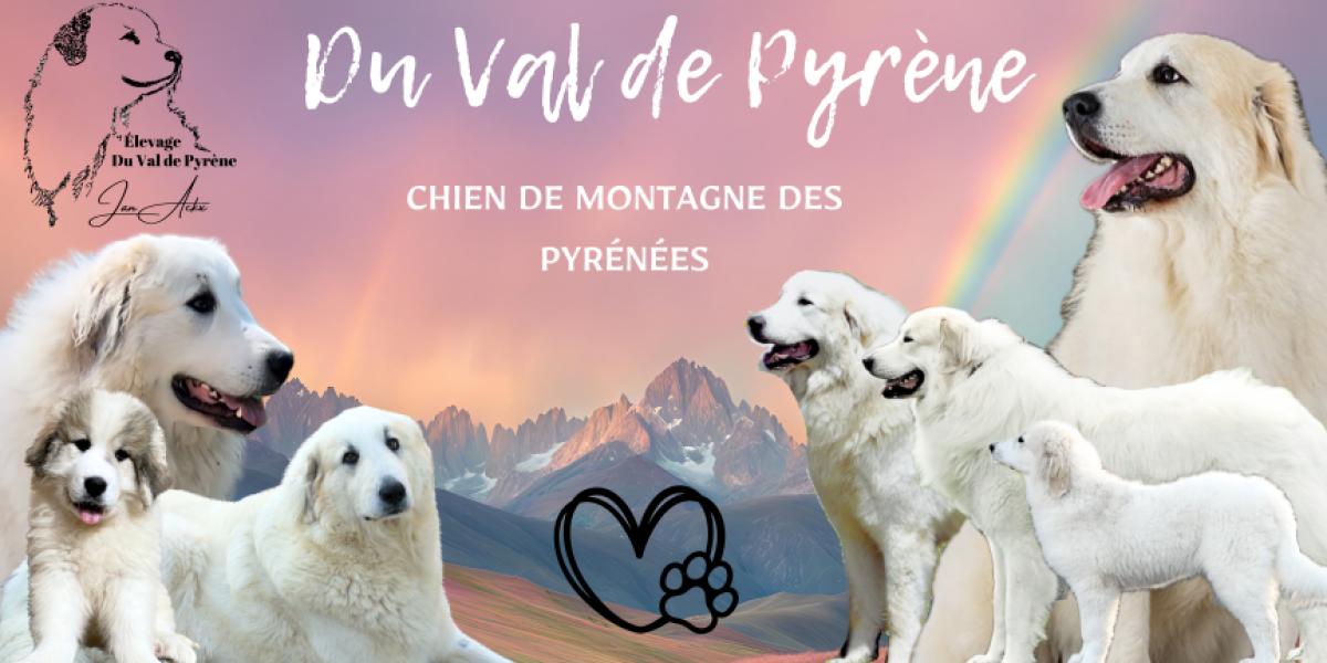 Elevage du Val de Pyrène