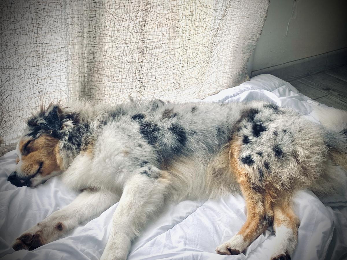 Les kbeaux de Deviine