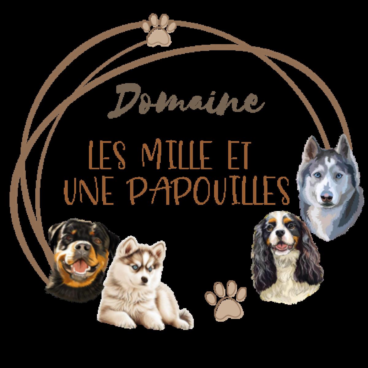 Le domaine des mille et une papouilles
