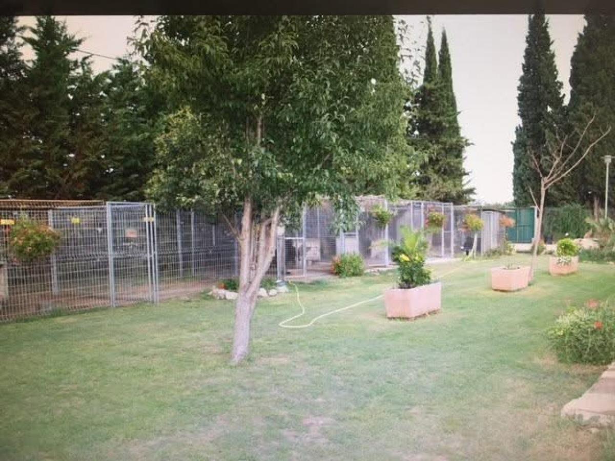 Des Ops de Lif Thraser