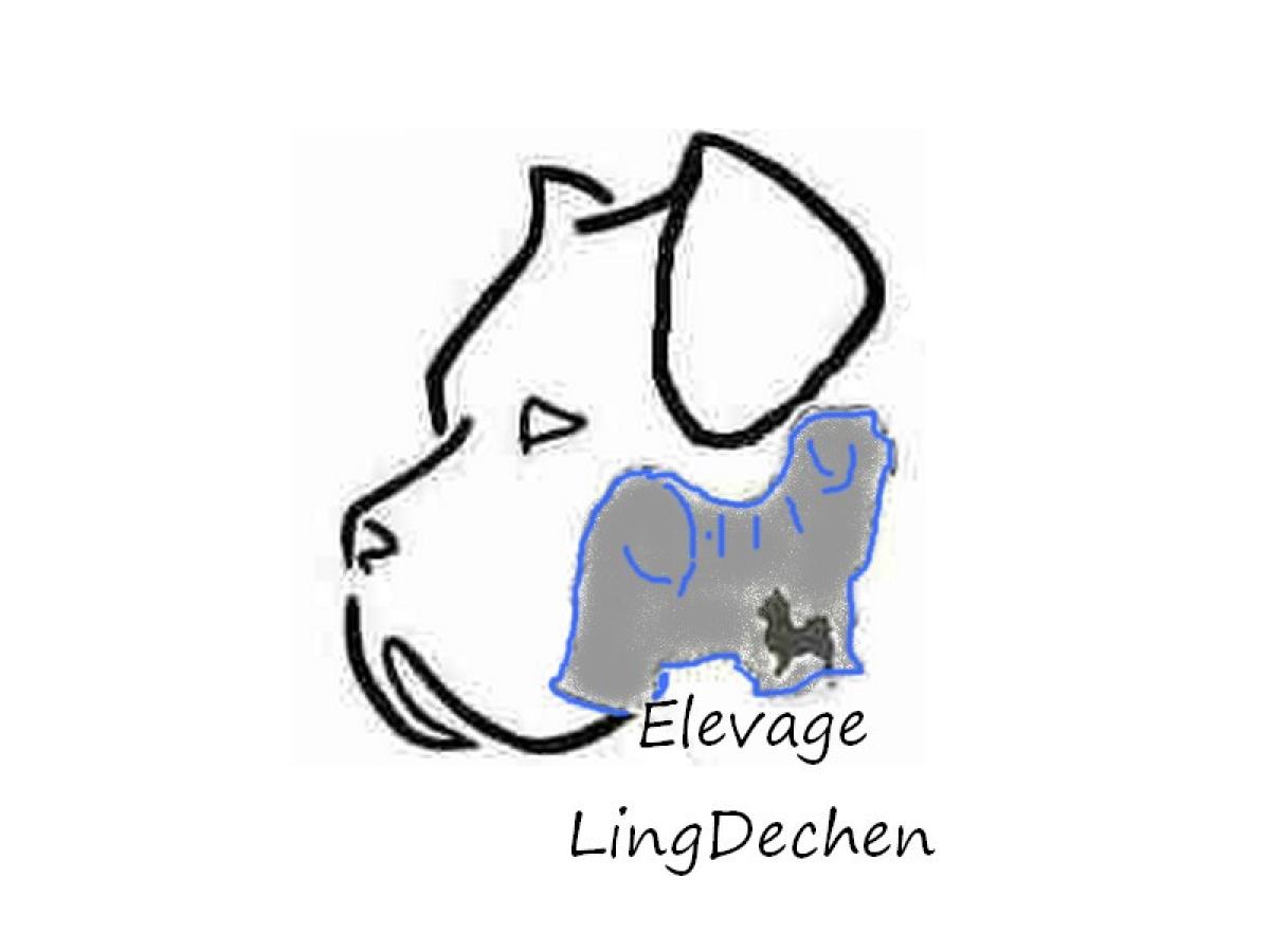 Elevage LING DECHEN