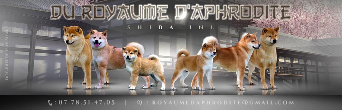 Elevage du Royaume D' Aphrodite