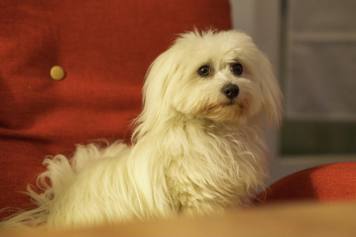 élevage des filles de l'étang