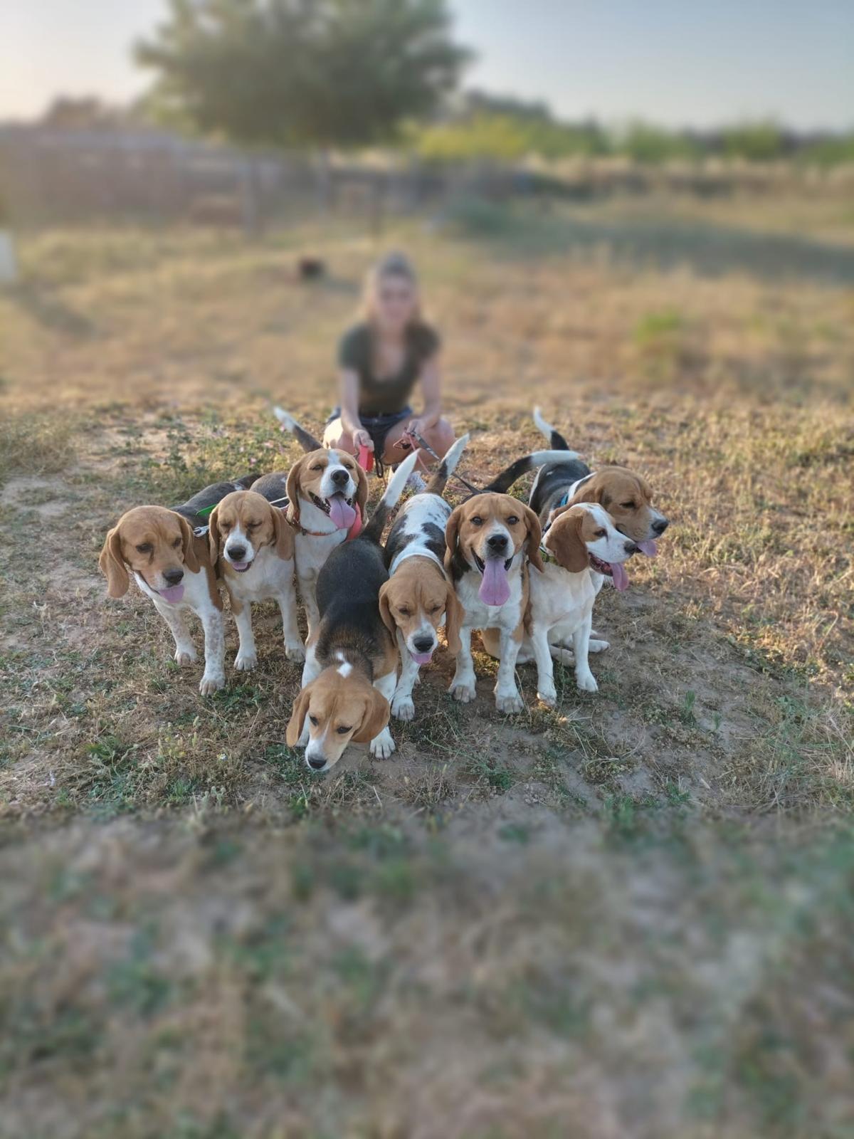 Elevage de l'étang du catchou