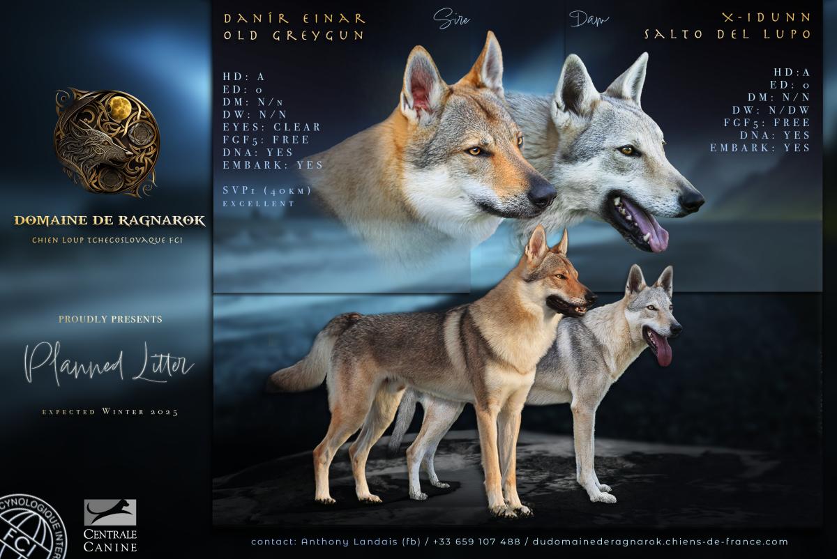 Élevage du Domaine de Ragnarök