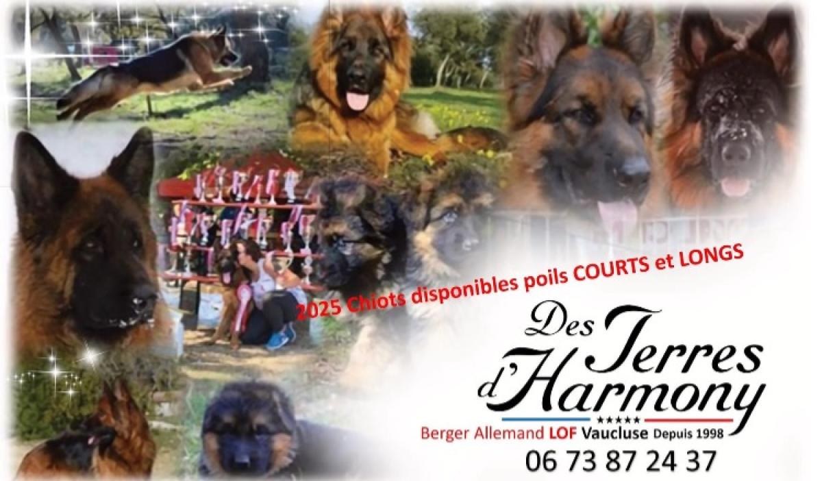 Des Terres d’Harmony