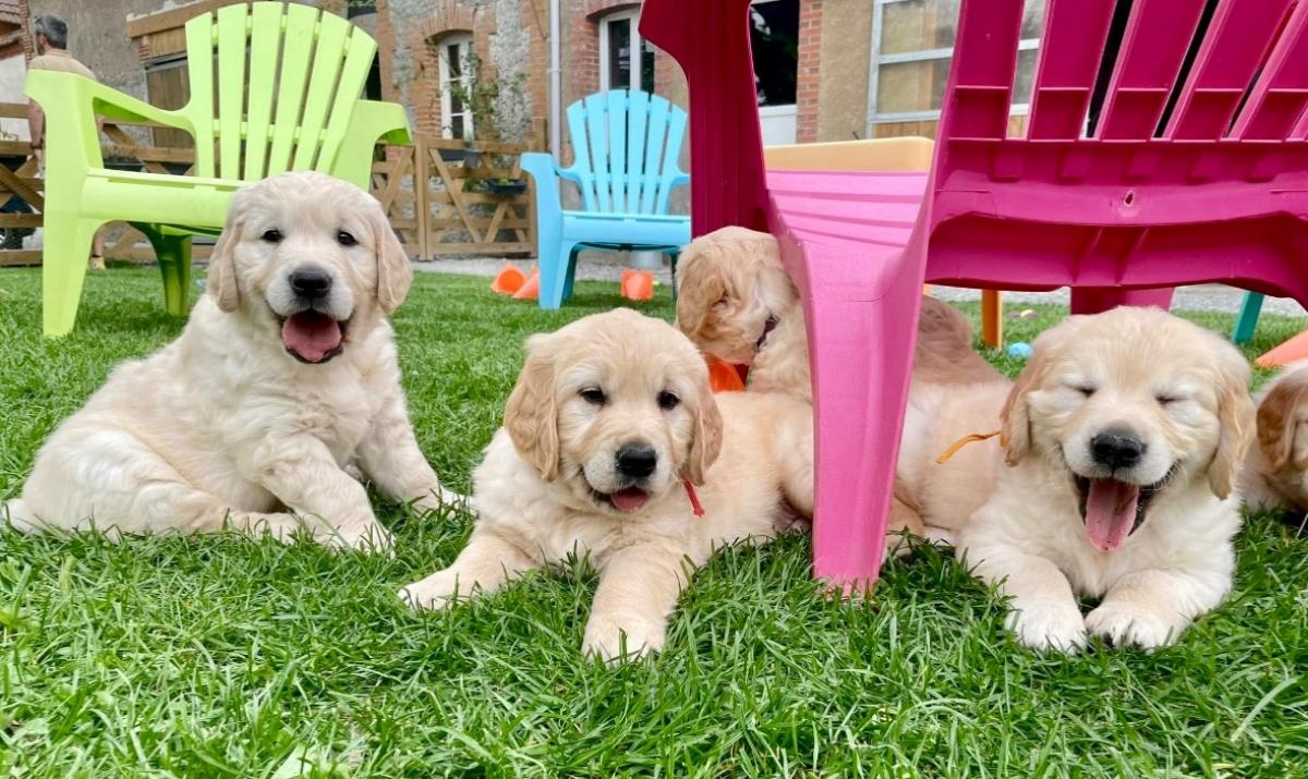 Élevage de la Gabrière