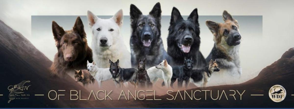 Of Black Angel Sanctuary