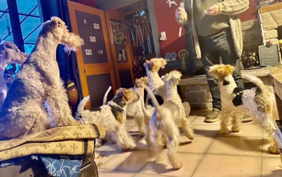 Le clos des amoureux