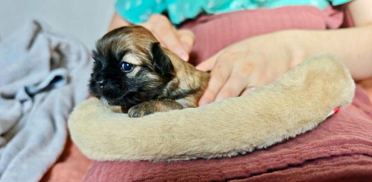 La Garenne aux Chayottes