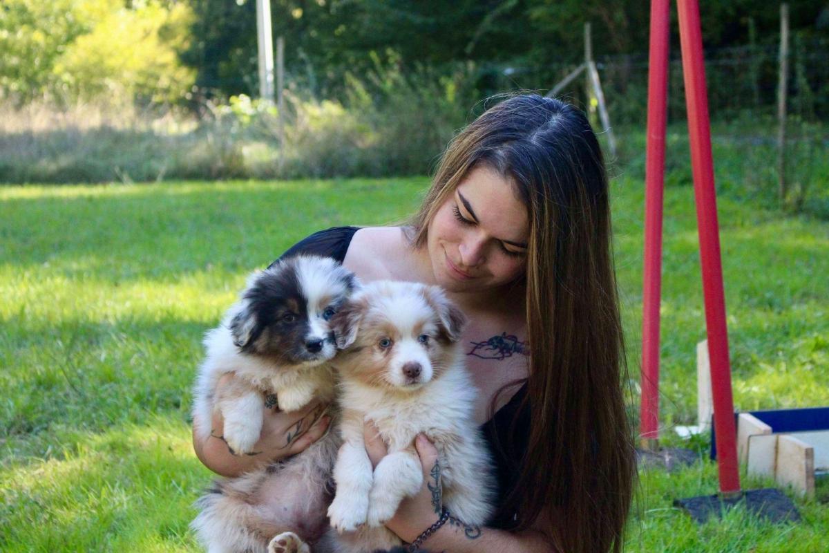 Elevage des Mille et une Pattounes