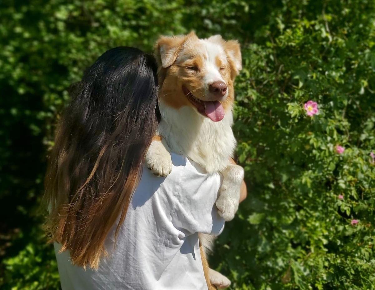 Elevage des Mille et une Pattounes