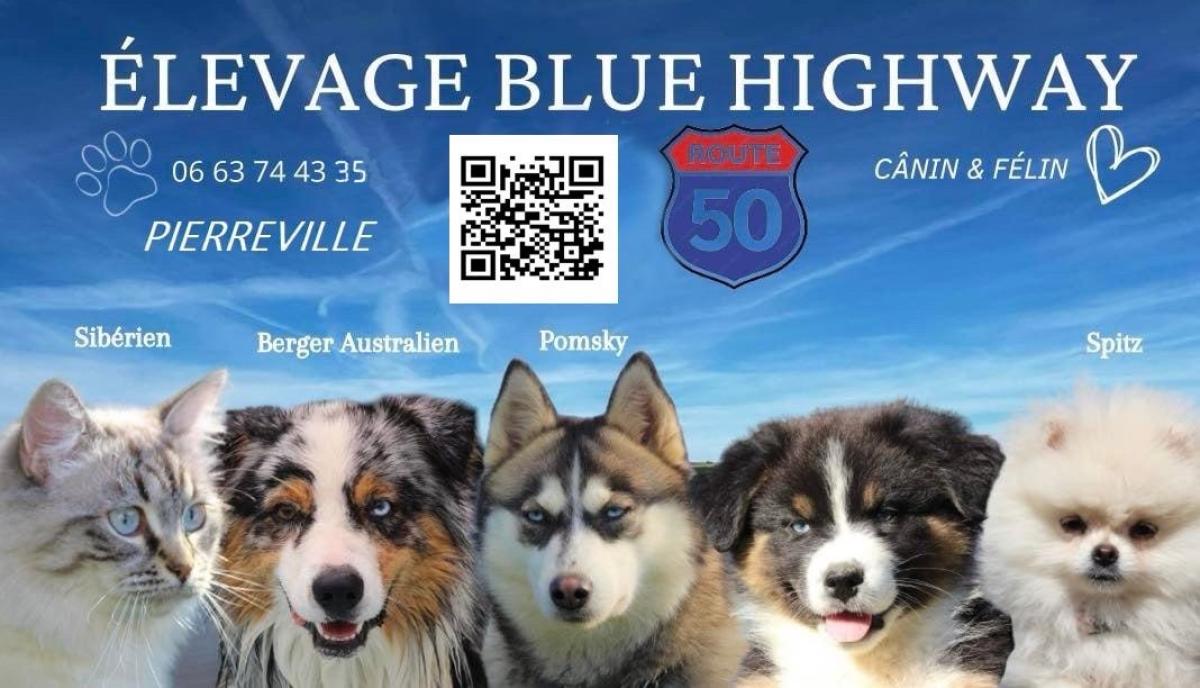 Élevage Blue Highway