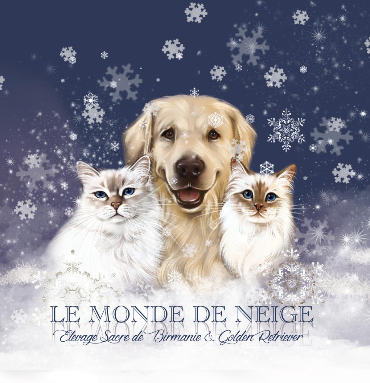 Le Monde de Neige