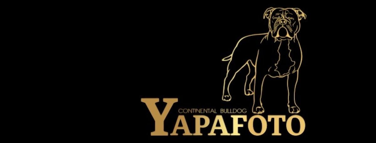 Yapafoto