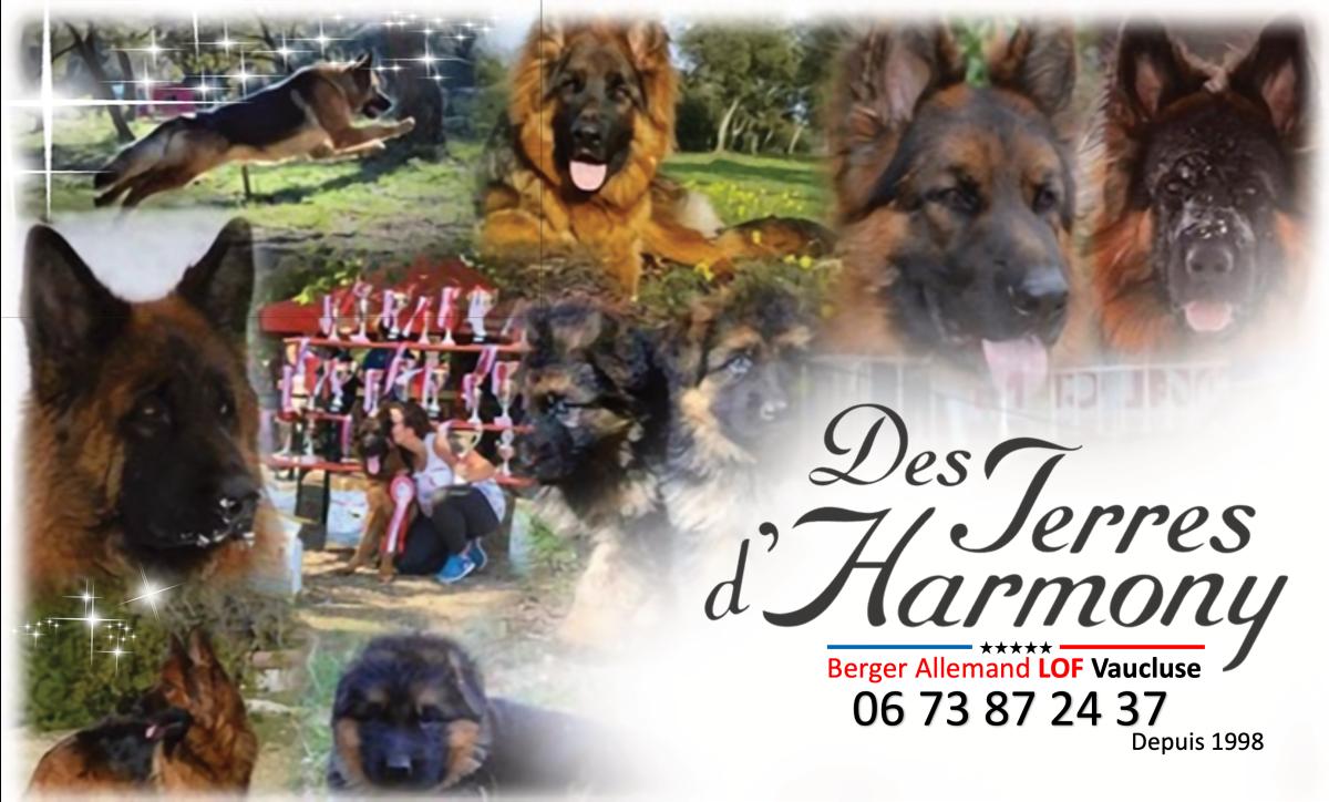 Elevage Des Terres d'Harmony