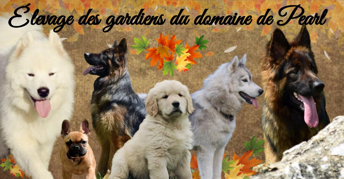 Élevage des gardiens du domaine de Pearl