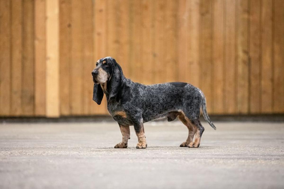 des vallées longeronnaises