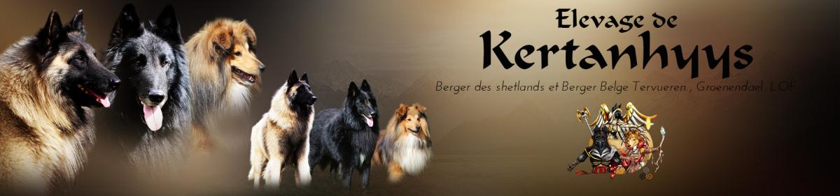 Elevage de Kertanhyys