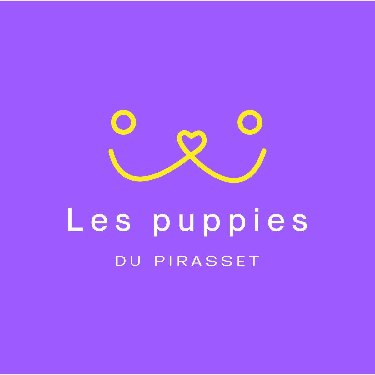 EI TUFARELLI LES PUPPIES DU PIRASSET