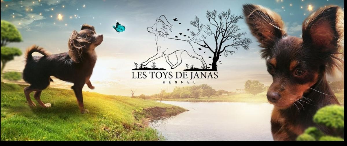 Des Toys de Janas