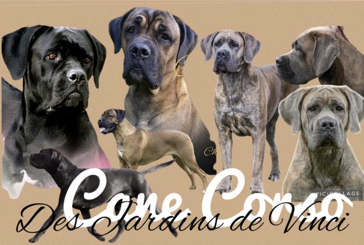 Des jardins de Vinci