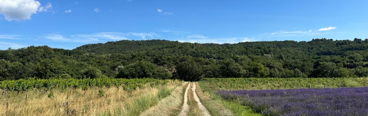 Elevage Canin Toutouteam