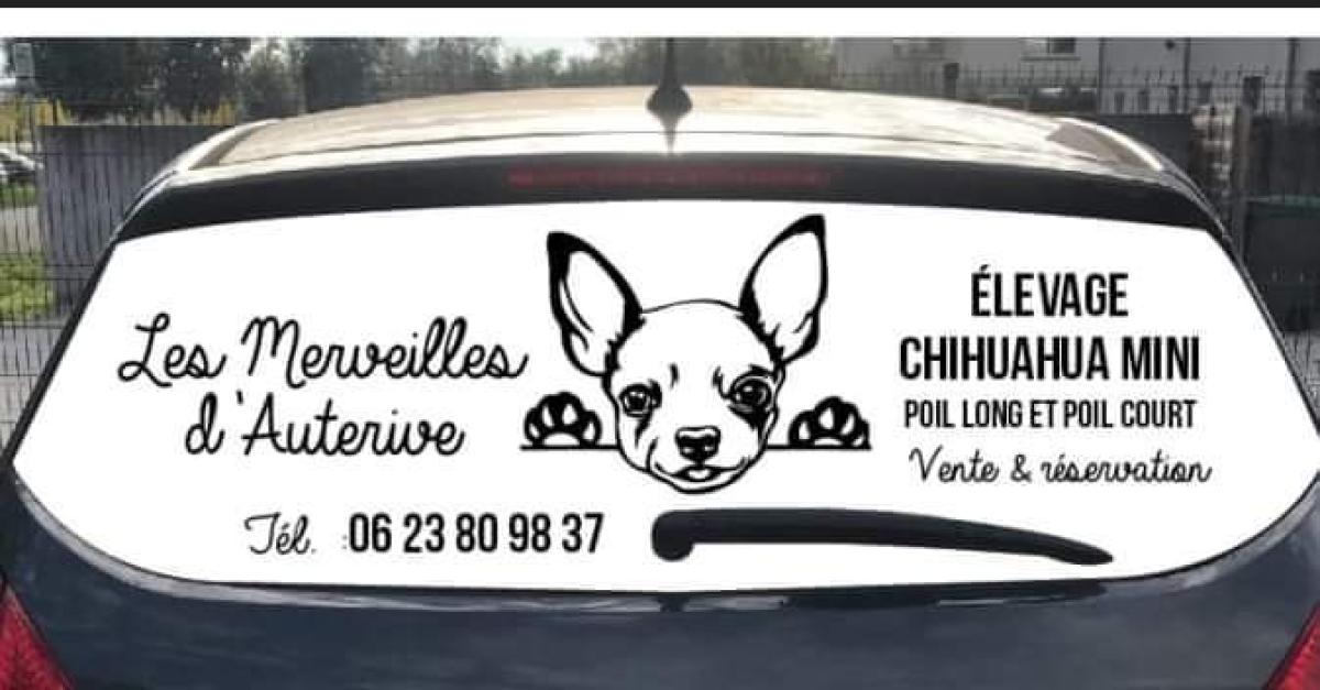 elevage les merveilles d'auterive