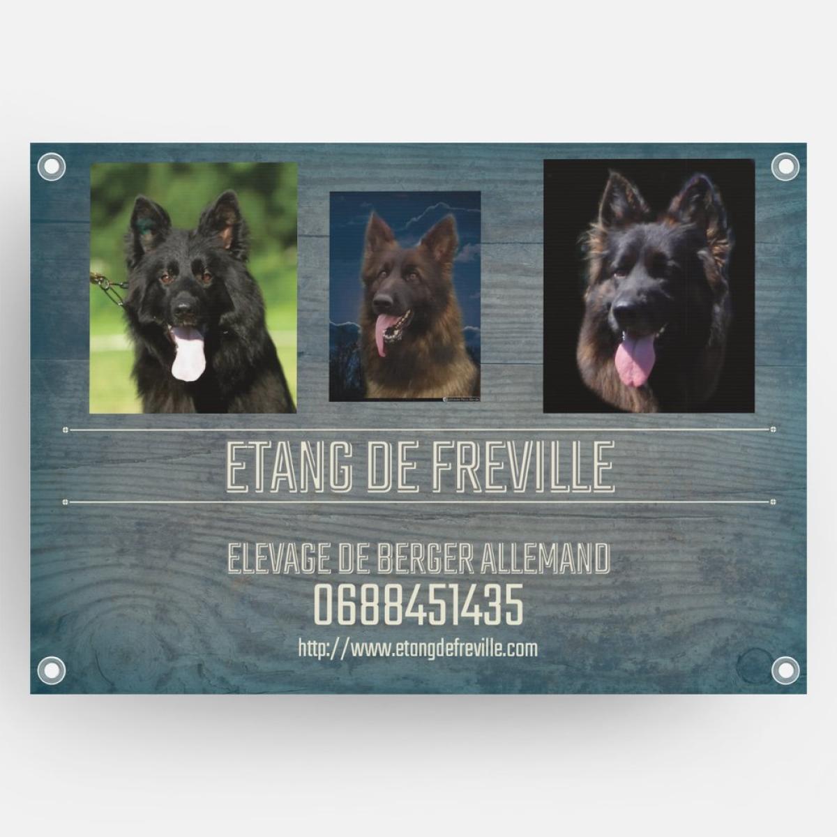 DE L'ETANG DE FREVILLE