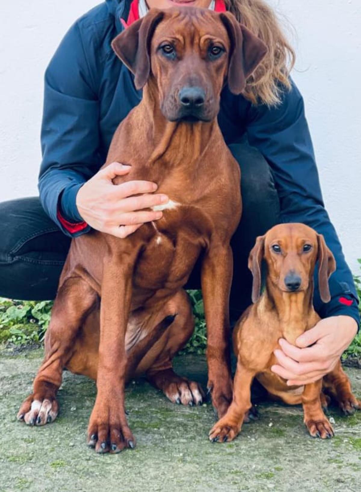 Elevage du Château de Cramahé