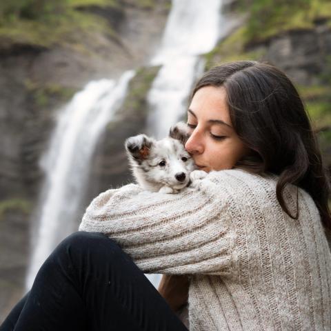 logo de Ystelle Photographie, partenaire de Whoof