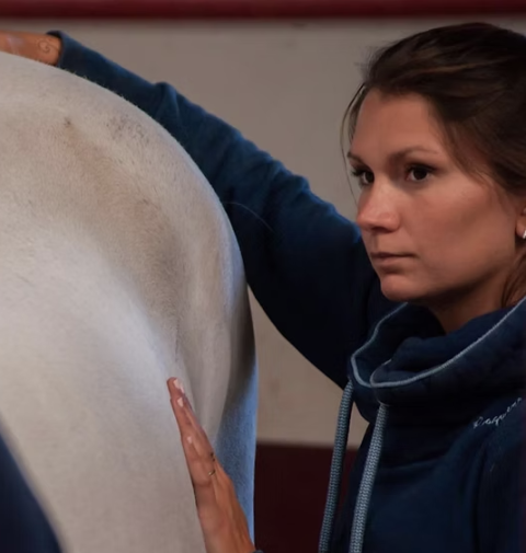 logo de Manon Miot - OAK, partenaire de Whoof