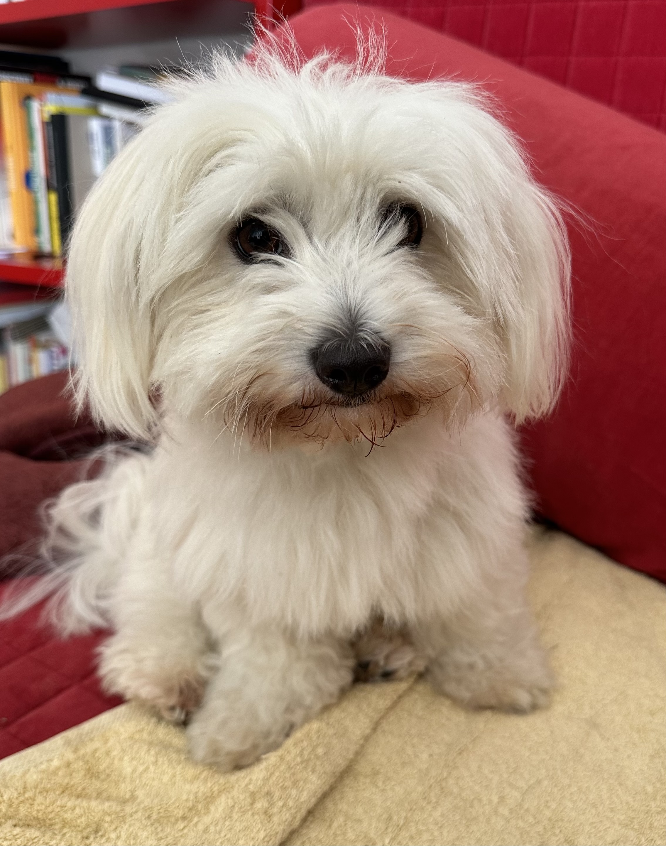 breeding.breeding_name