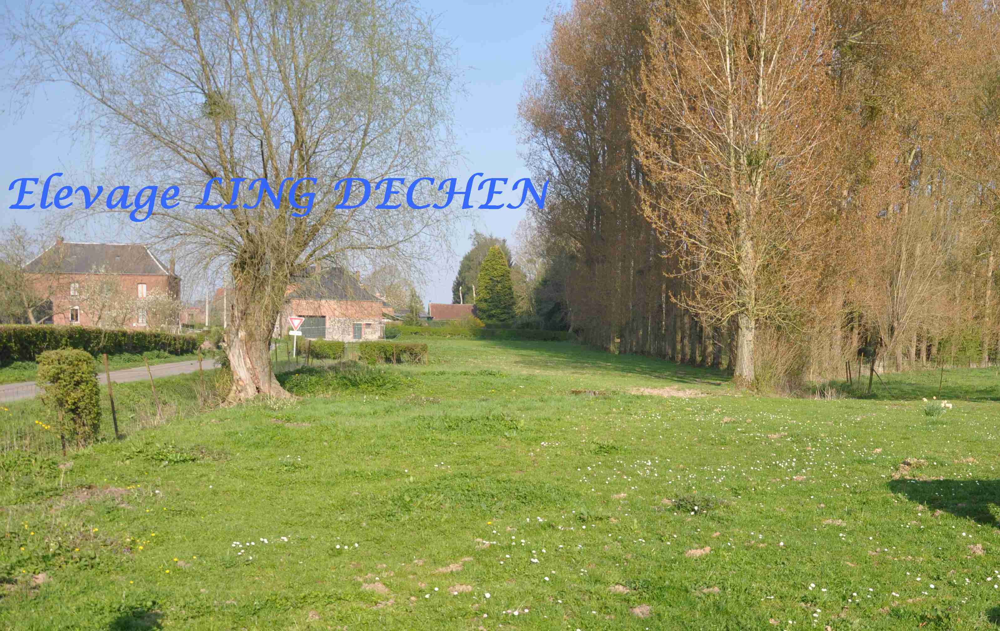 breeding.breeding_name