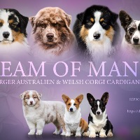 Élevage Dream of Manou