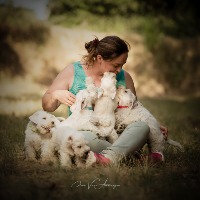 Elevage du Royaume des Titans