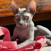 Domaine de la Petite Chérie