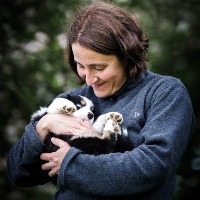 Elevage des Légendes de l'Ouest