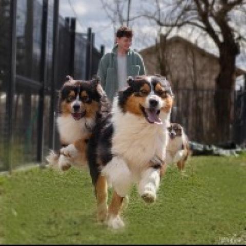 breeding.breeding_name