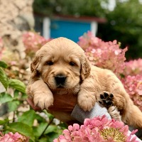 Élevage de la Gabrière