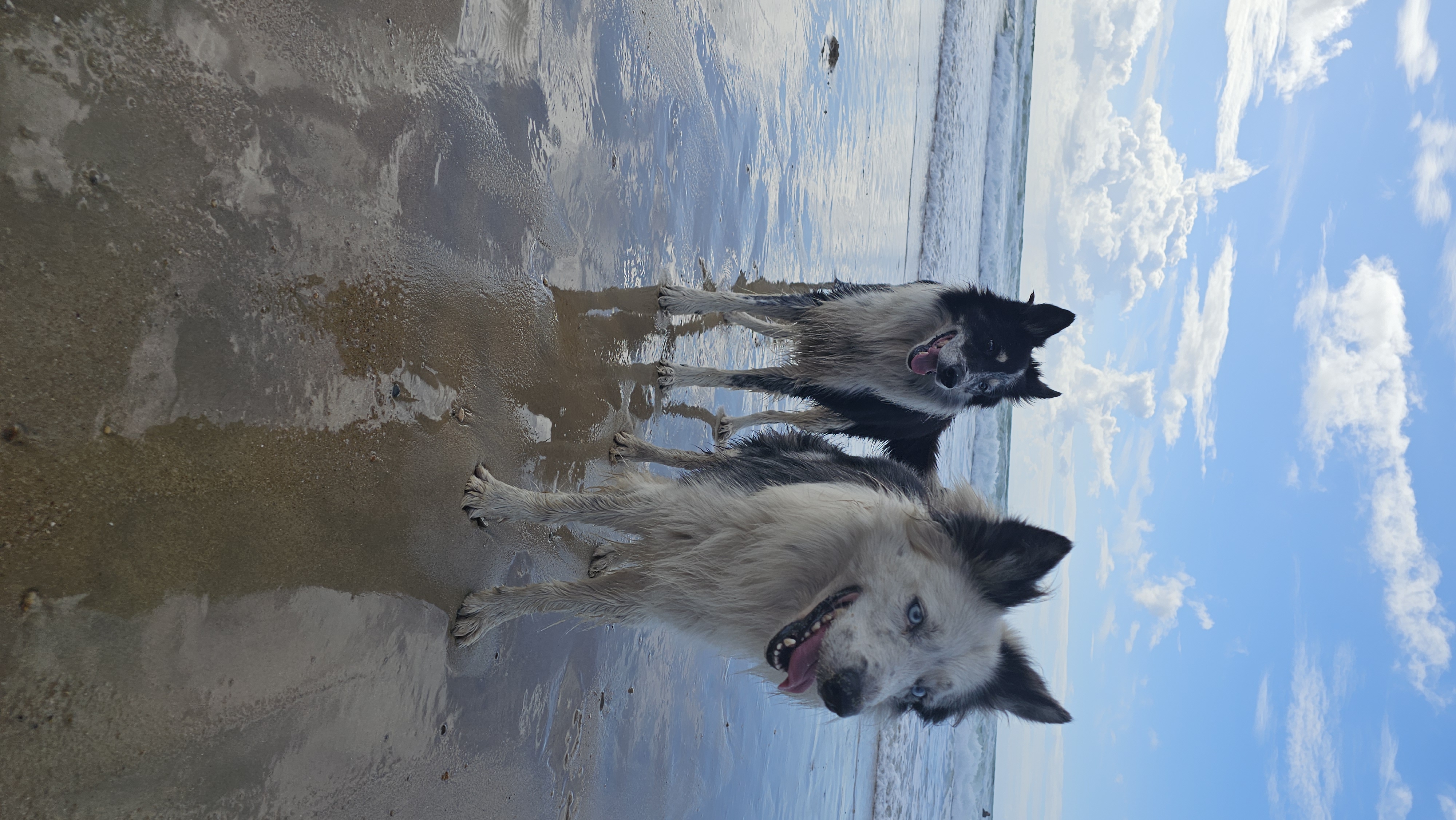 breeding.breeding_name