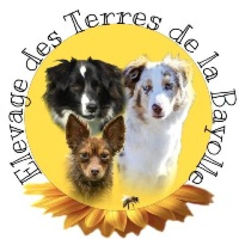 breeding.breeding_name