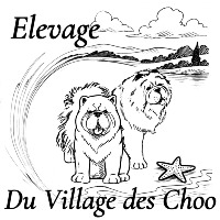 village des choo