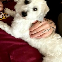 Élevage des jardins d’Hippy